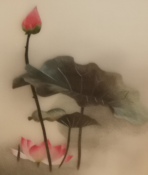 The Beauty of Lotus (1)