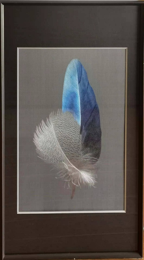 Feather (1)